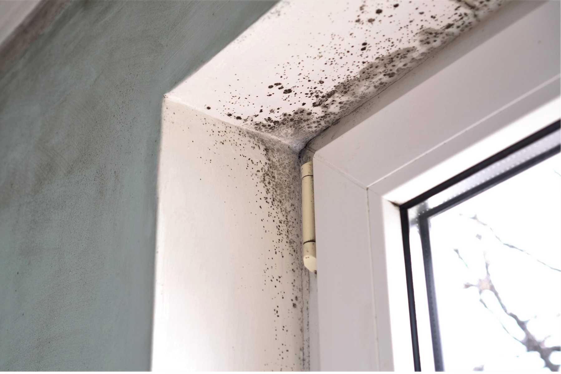 Stop mold now